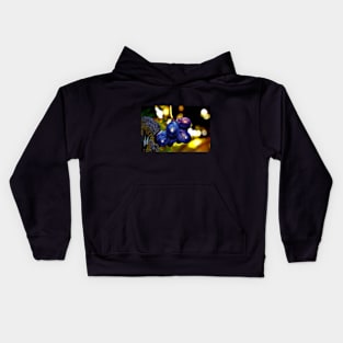 New year's Eve in the Garden Kids Hoodie